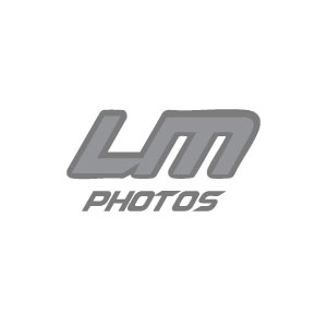 Site-web-logo-2